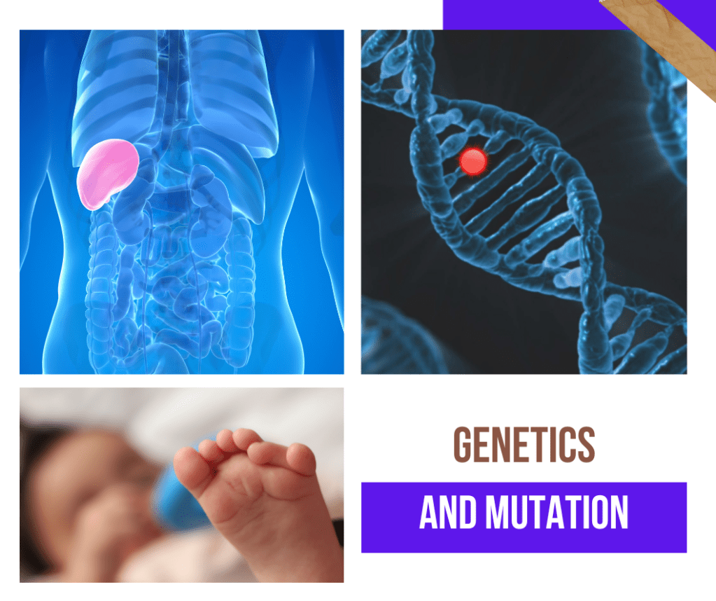 The Genetic Basis of Phenotypic Variations: From Extra Fingers to Enhanced Diving&nbsp;Capacities